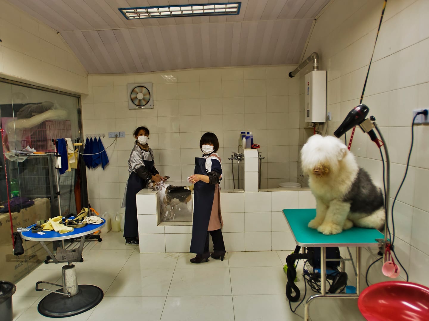 China — Suzhou — urban