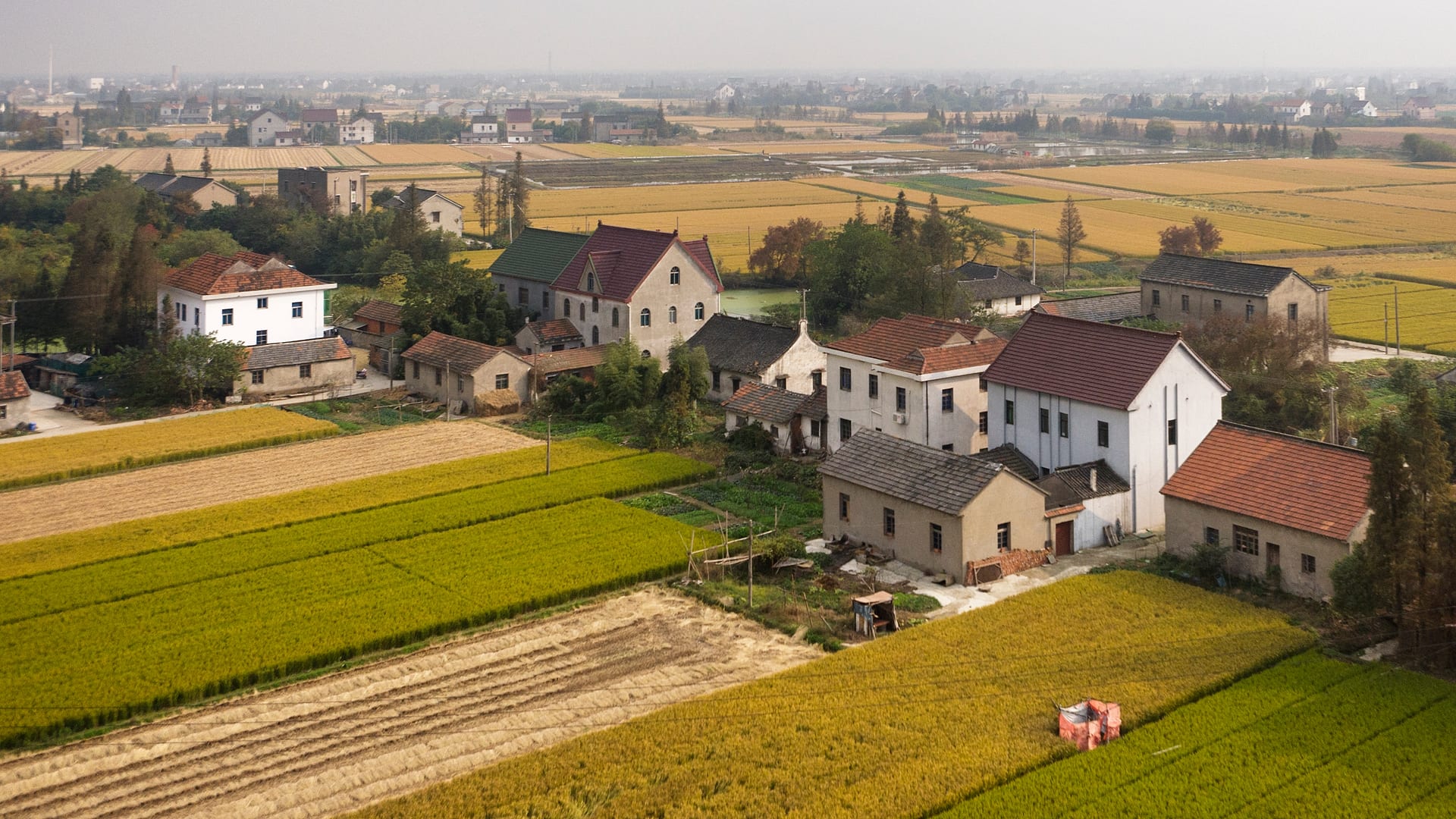 China — Suzhou — landscape