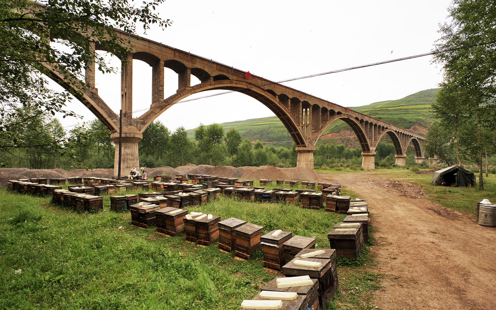 China — Xining — landscape