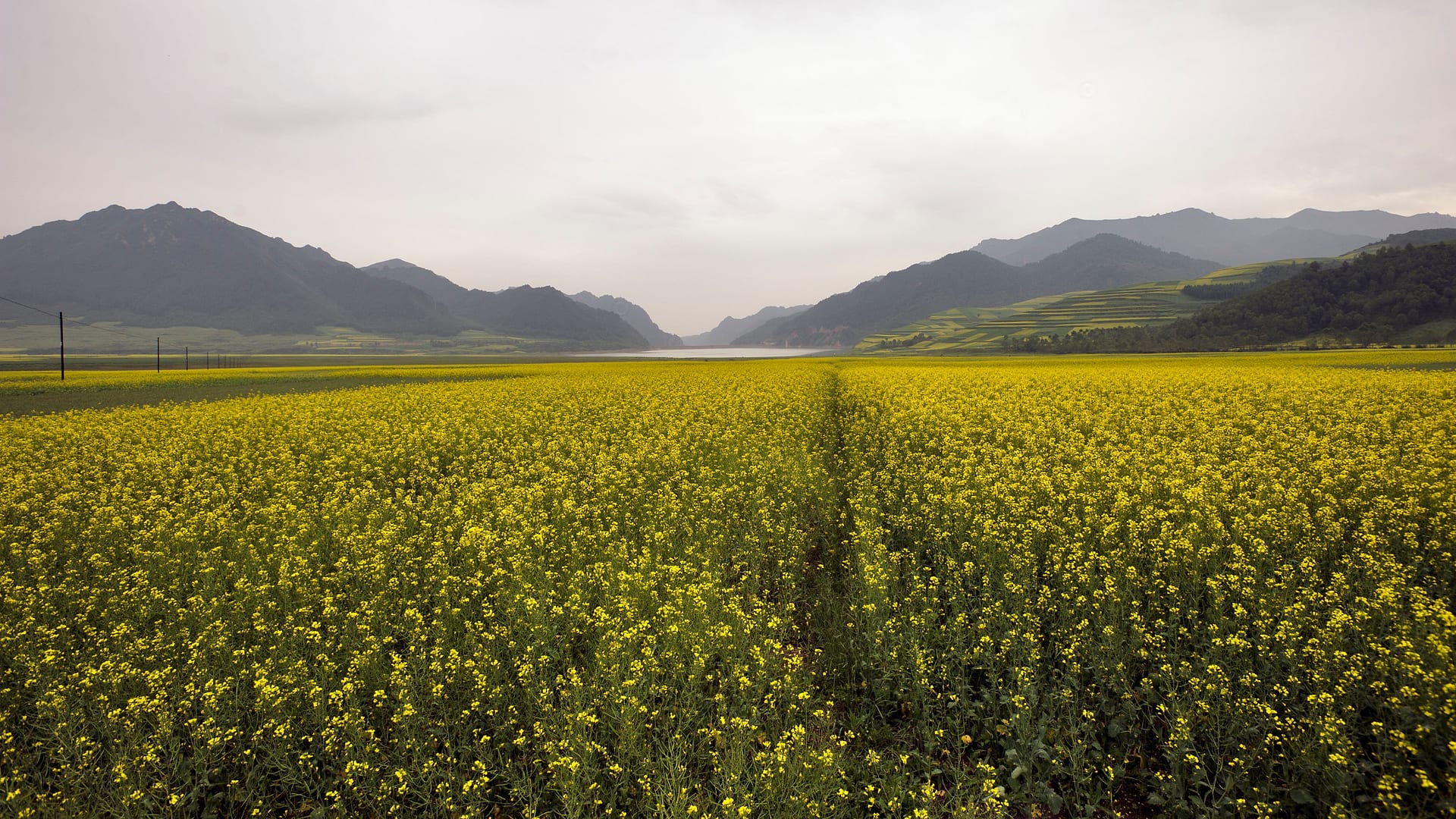 China — Xining — landscape