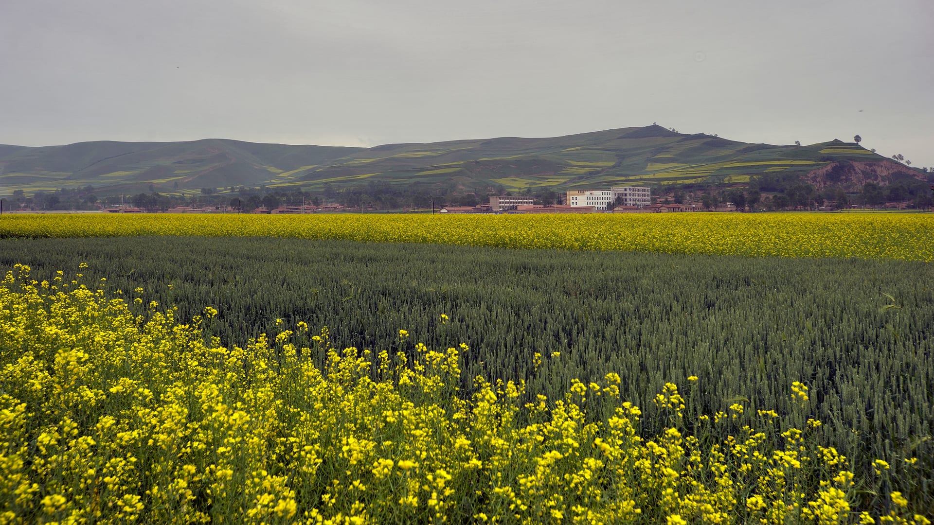 China — Xining — landscape