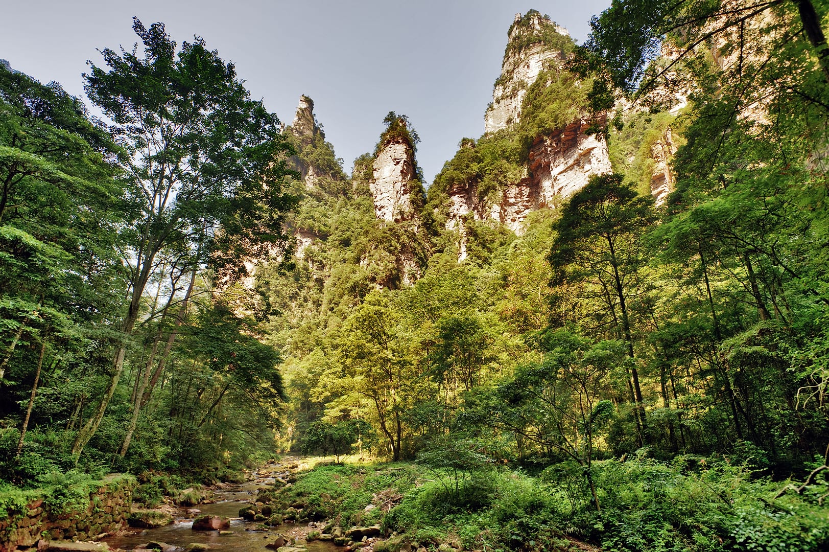 China — Zhangjiajie — landscape
