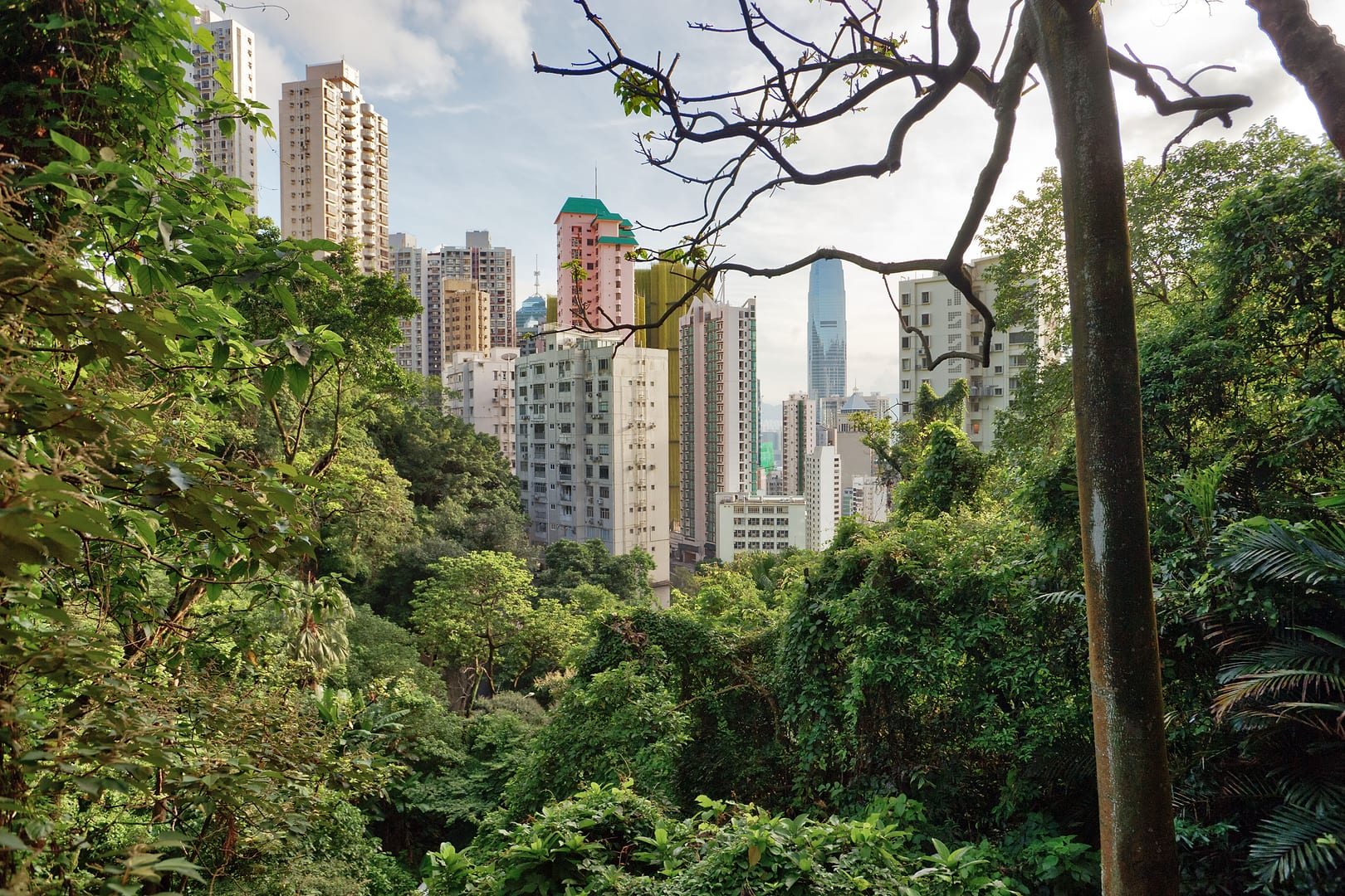 China — Hong Kong — landscape
