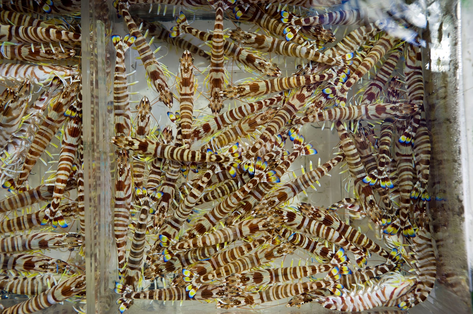 China — Hong Kong — other