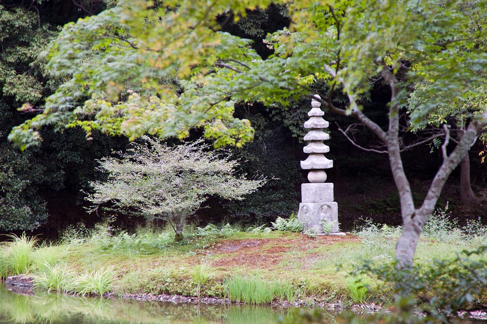 Japan — Kyoto — landscape