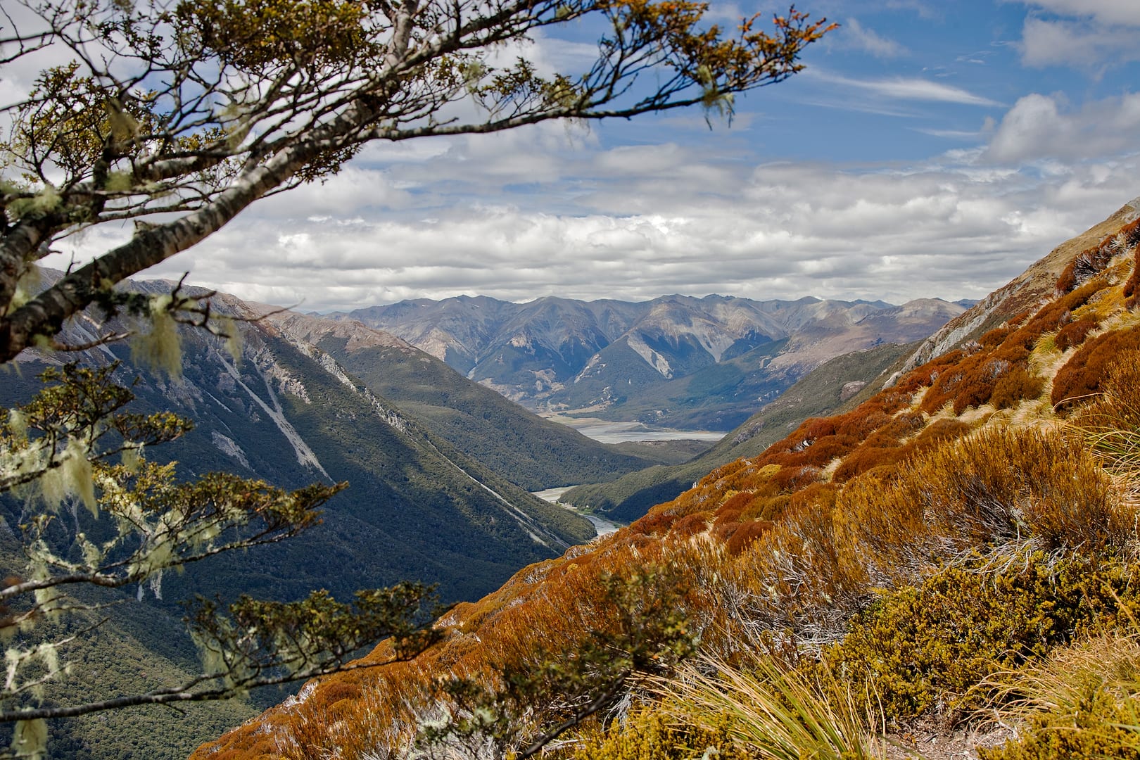 New Zealand — Arthurs Pass — landscape