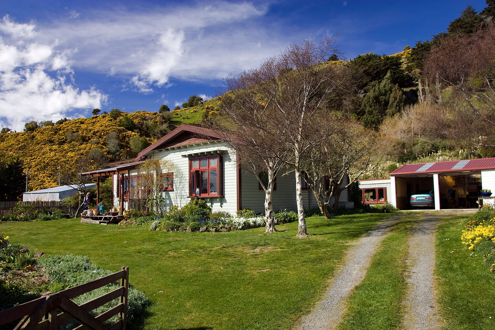 New Zealand — Dunedin — landscape