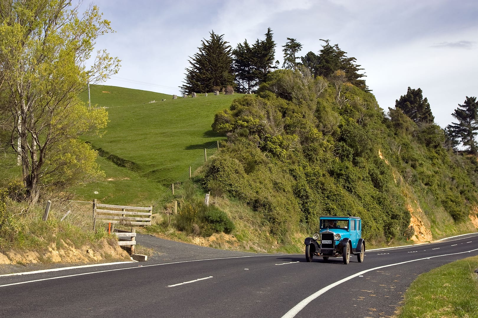 New Zealand — Dunedin — landscape