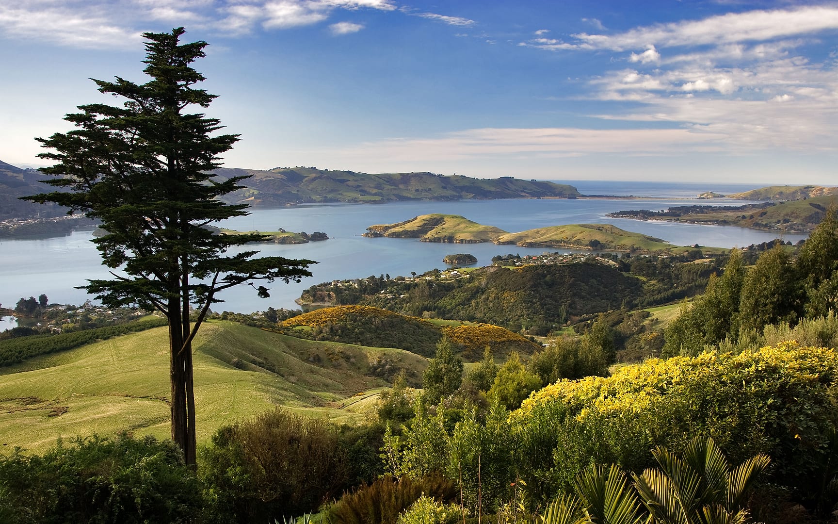 New Zealand — Dunedin — landscape