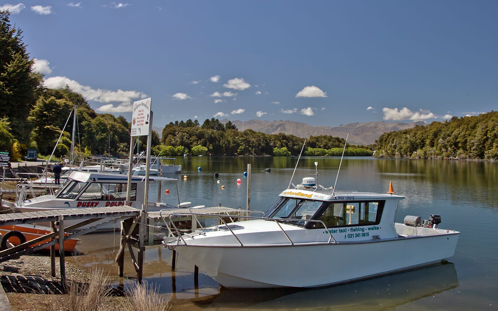 New Zealand — Fiordland — landscape