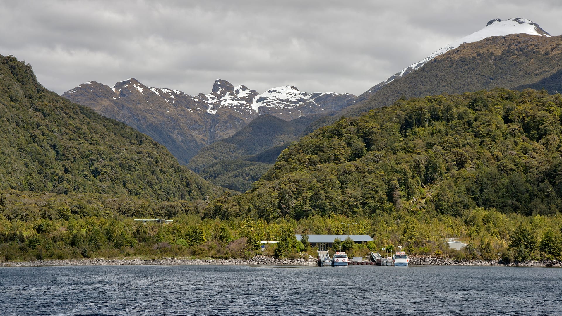 New Zealand — Fiordland — landscape