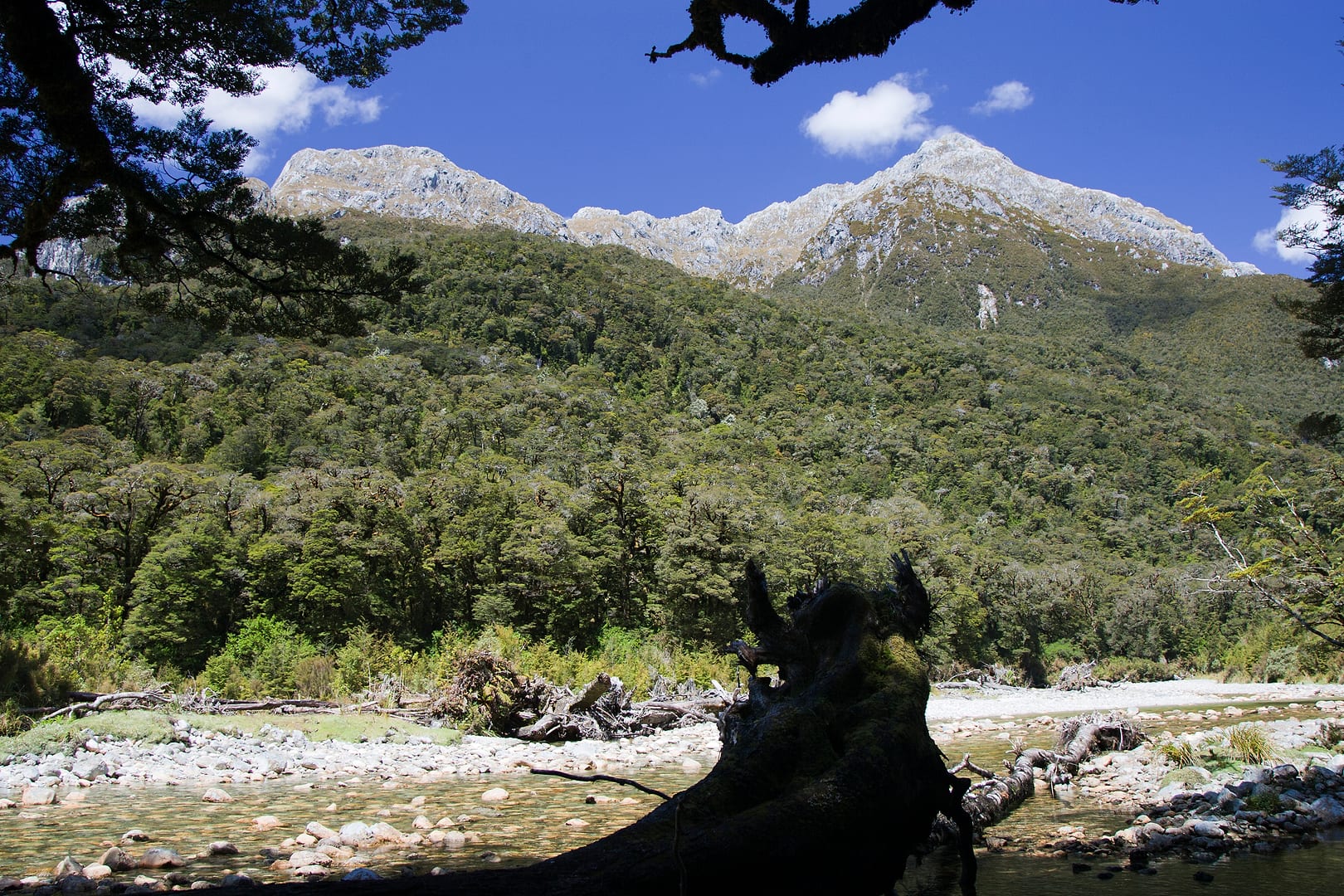 New Zealand — Dusky Track — landscape