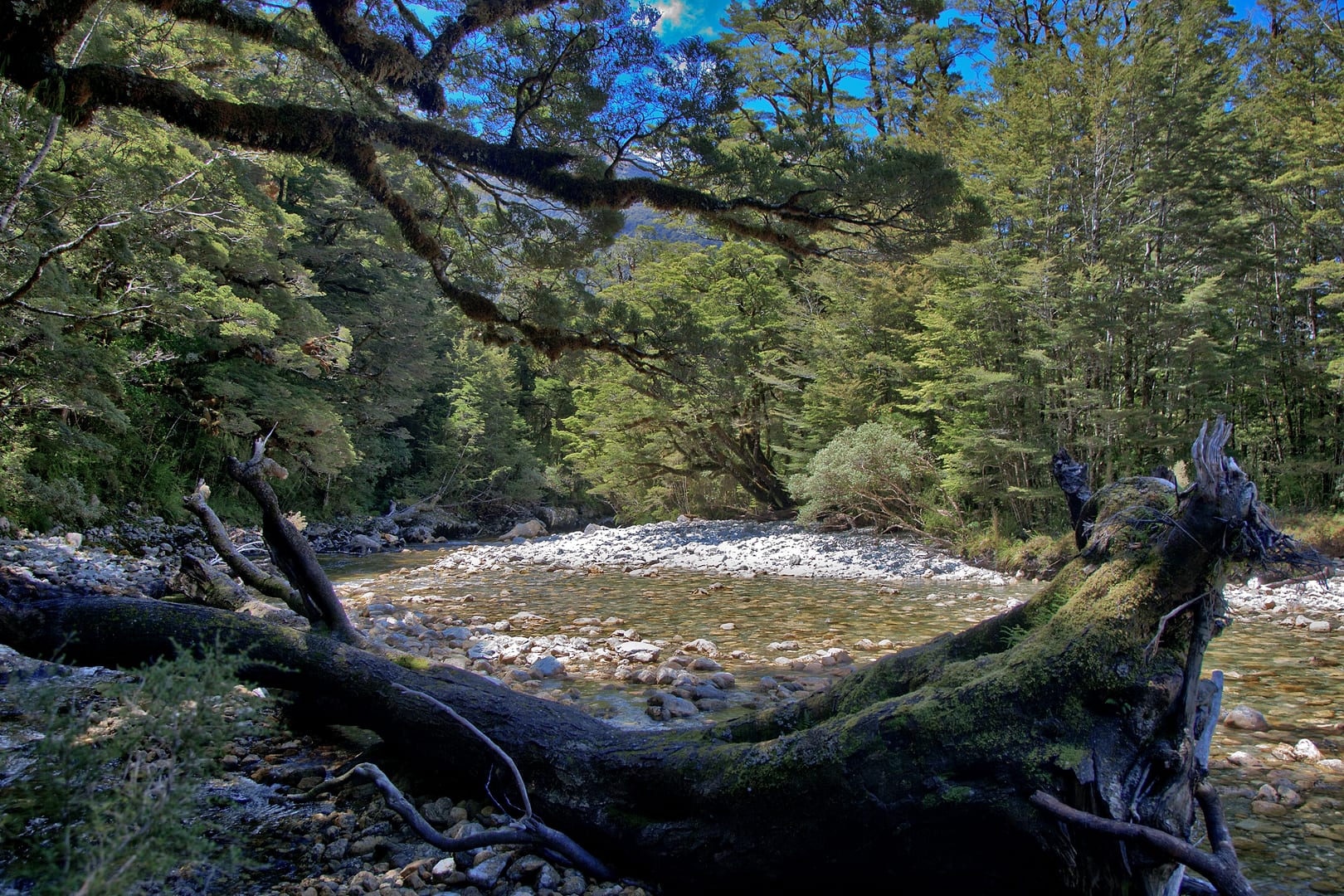 New Zealand — Dusky Track — landscape