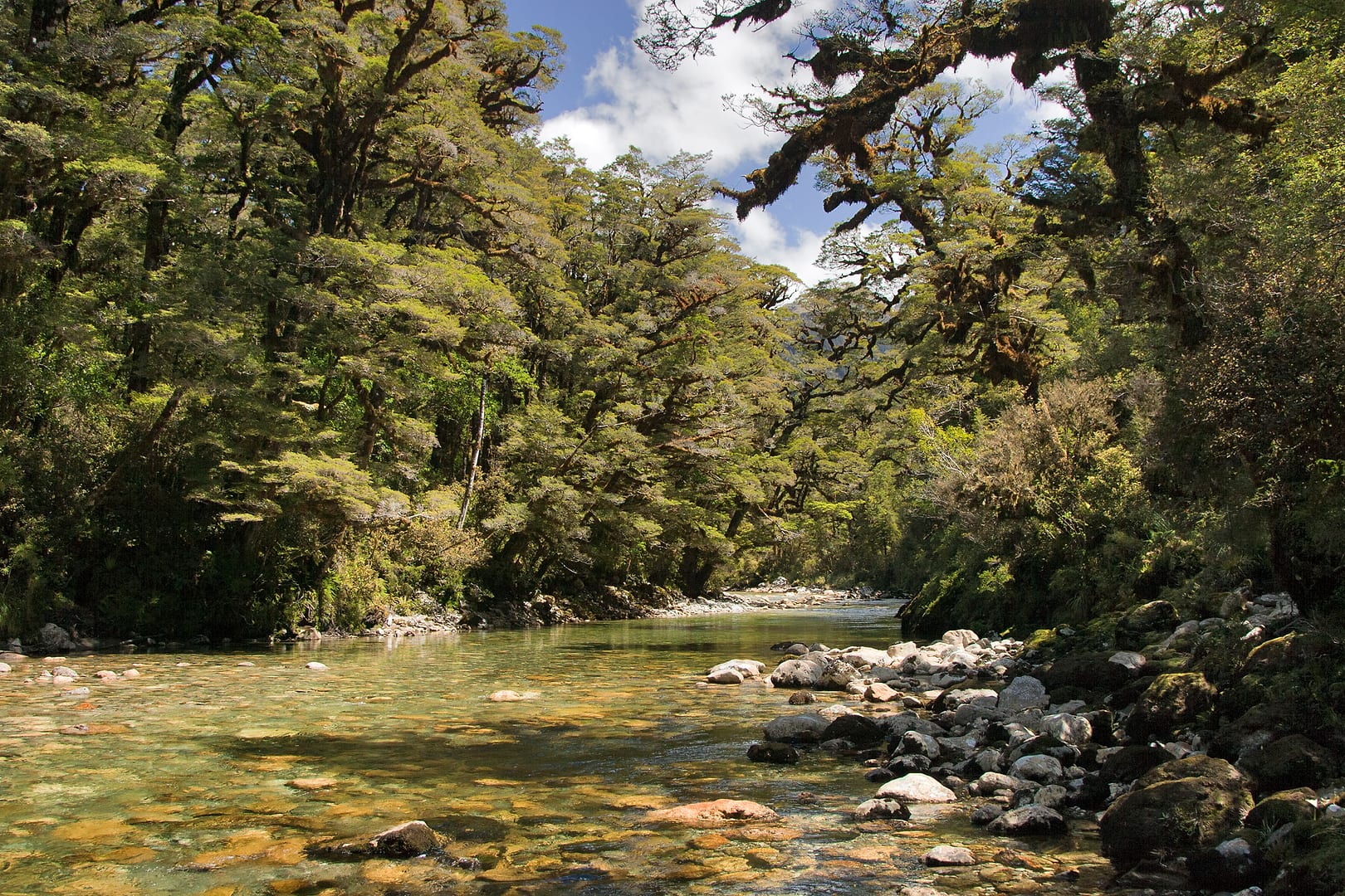 New Zealand — Dusky Track — landscape