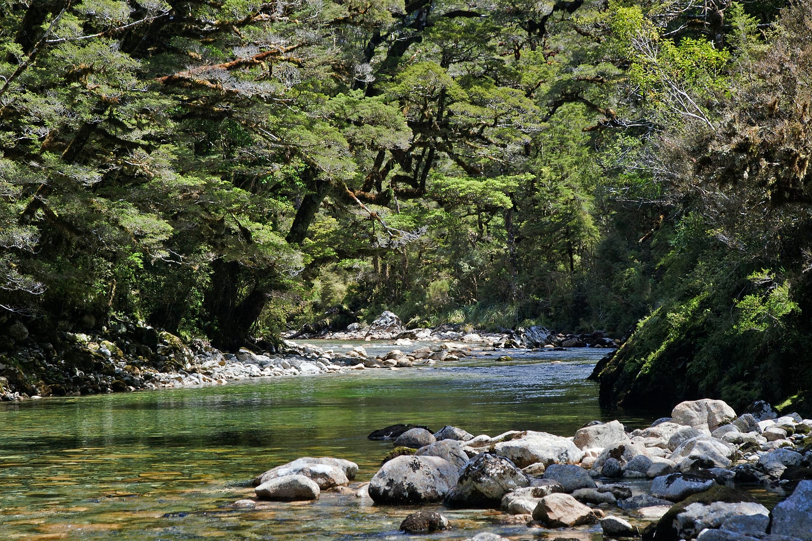 New Zealand — Dusky Track — landscape