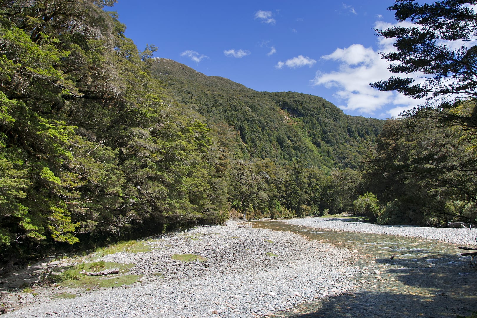 New Zealand — Dusky Track — landscape
