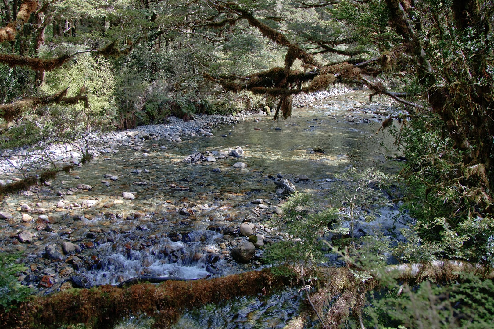 New Zealand — Dusky Track — landscape