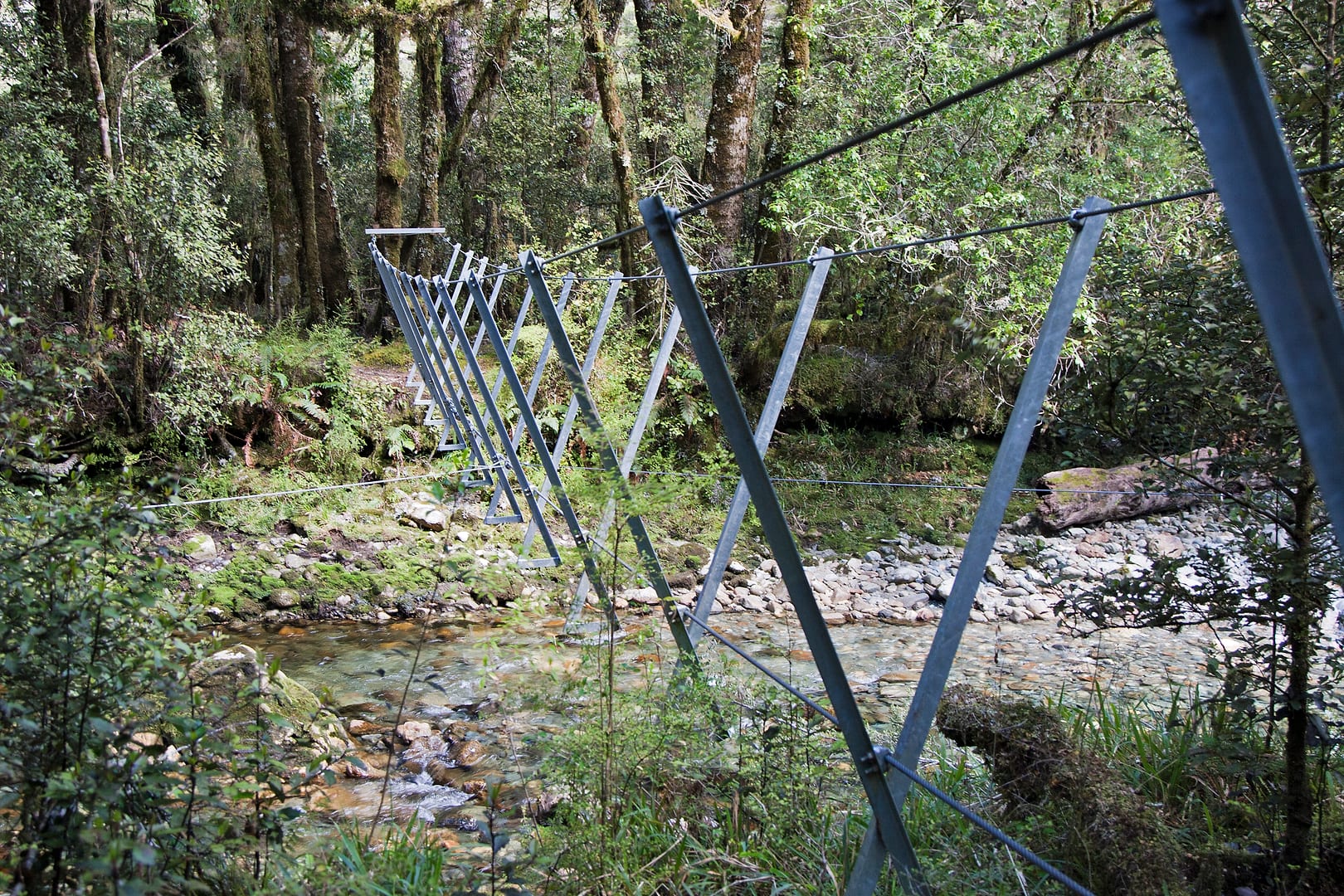 New Zealand — Dusky Track — landscape