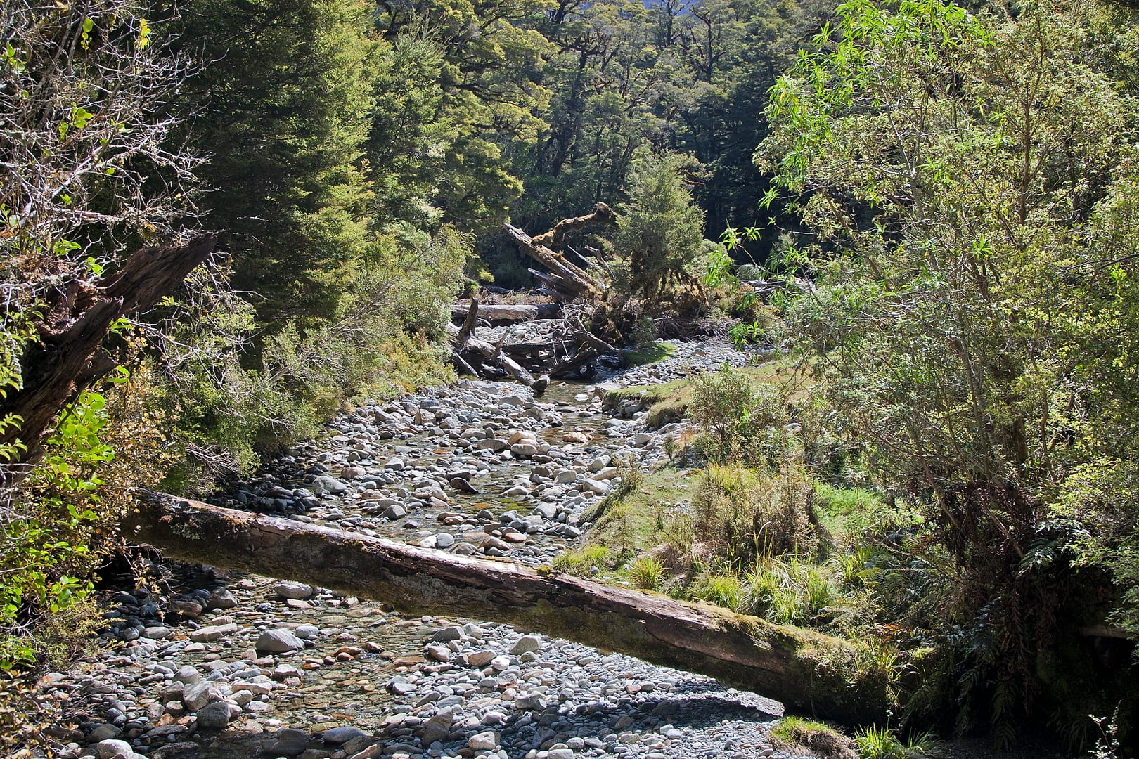 New Zealand — Dusky Track — landscape