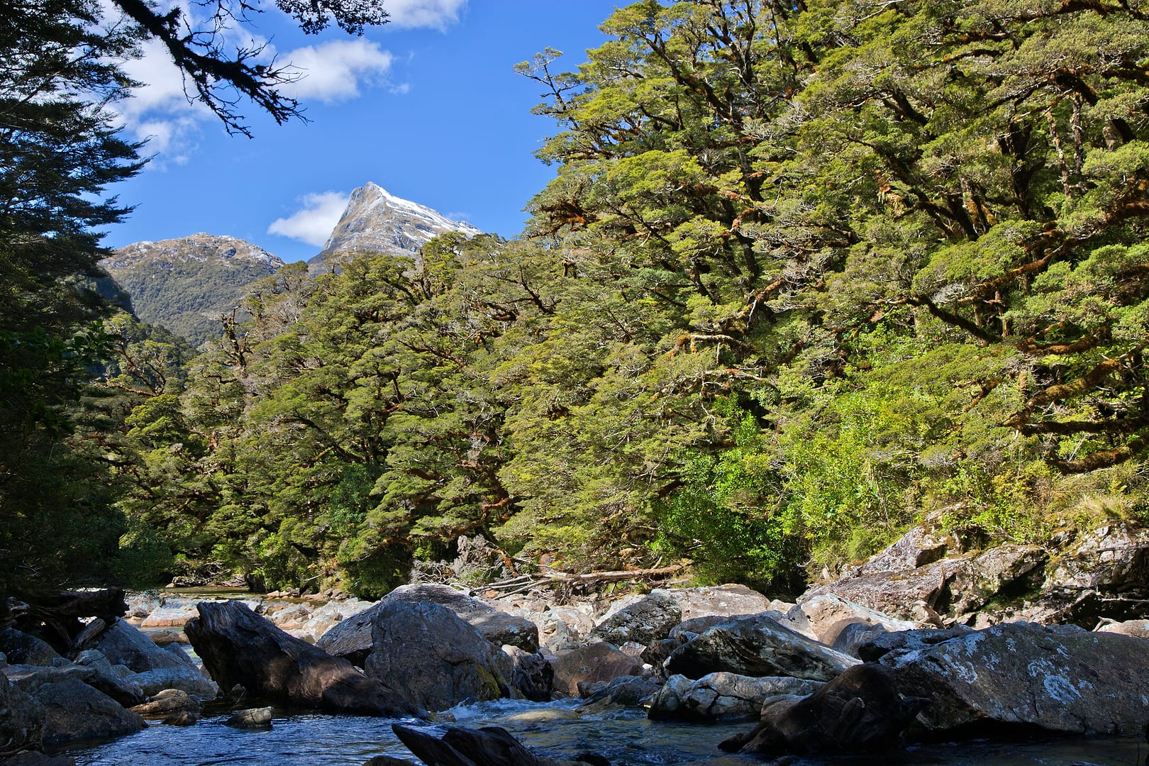 New Zealand — Fiordland — landscape