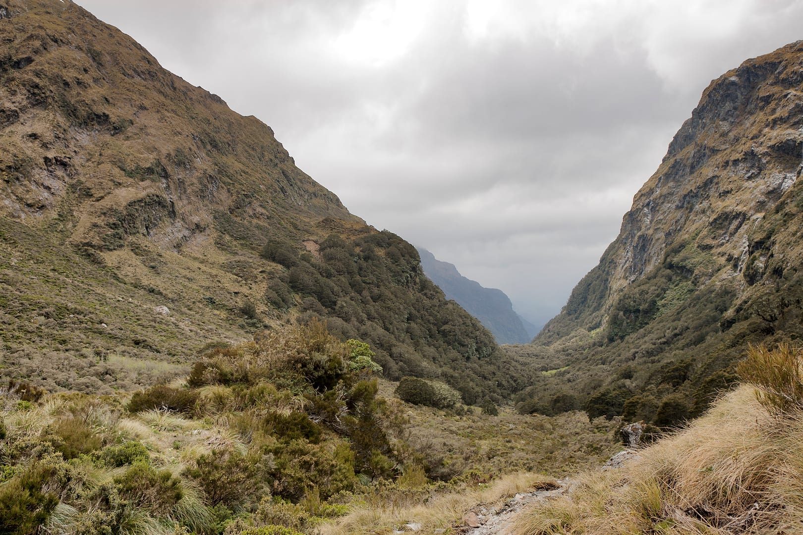 New Zealand — Dusky Track — landscape