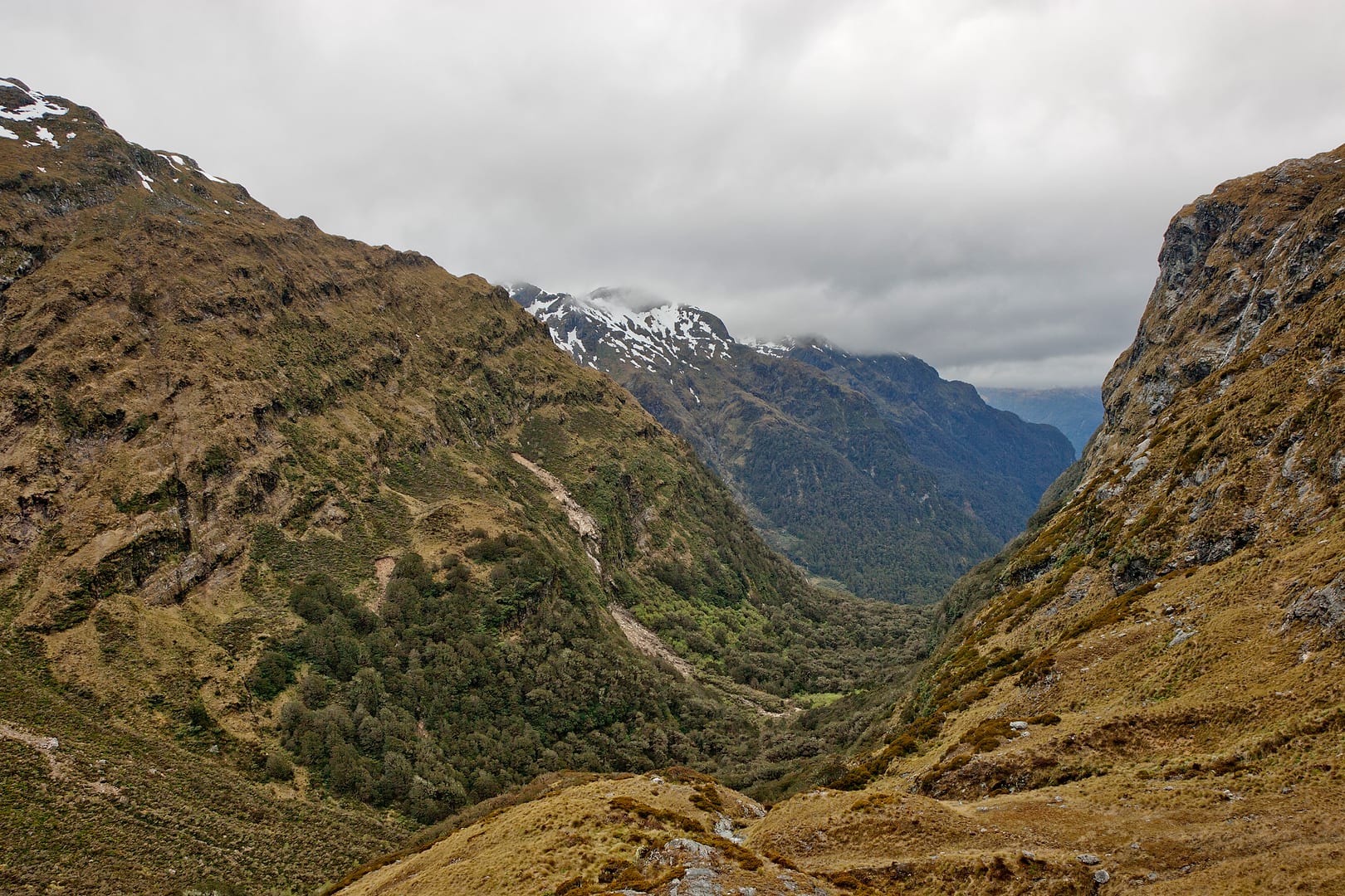 New Zealand — Dusky Track — landscape