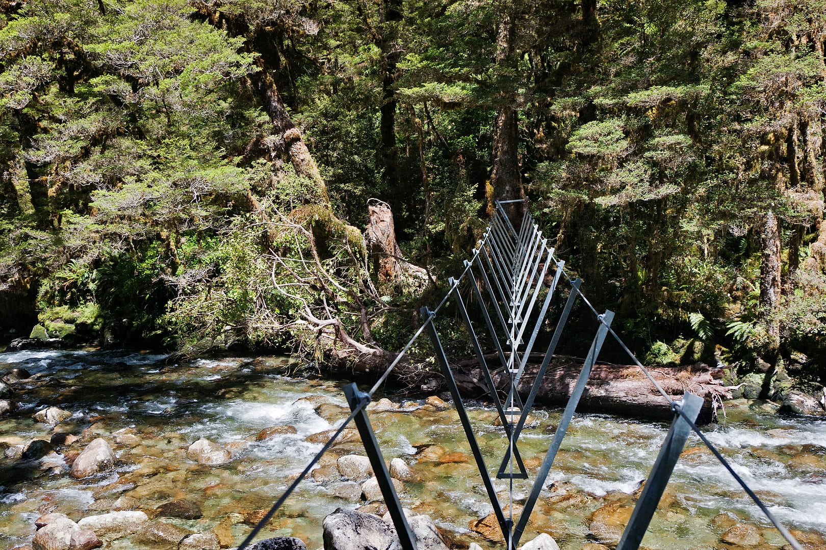 New Zealand — Dusky Track — landscape