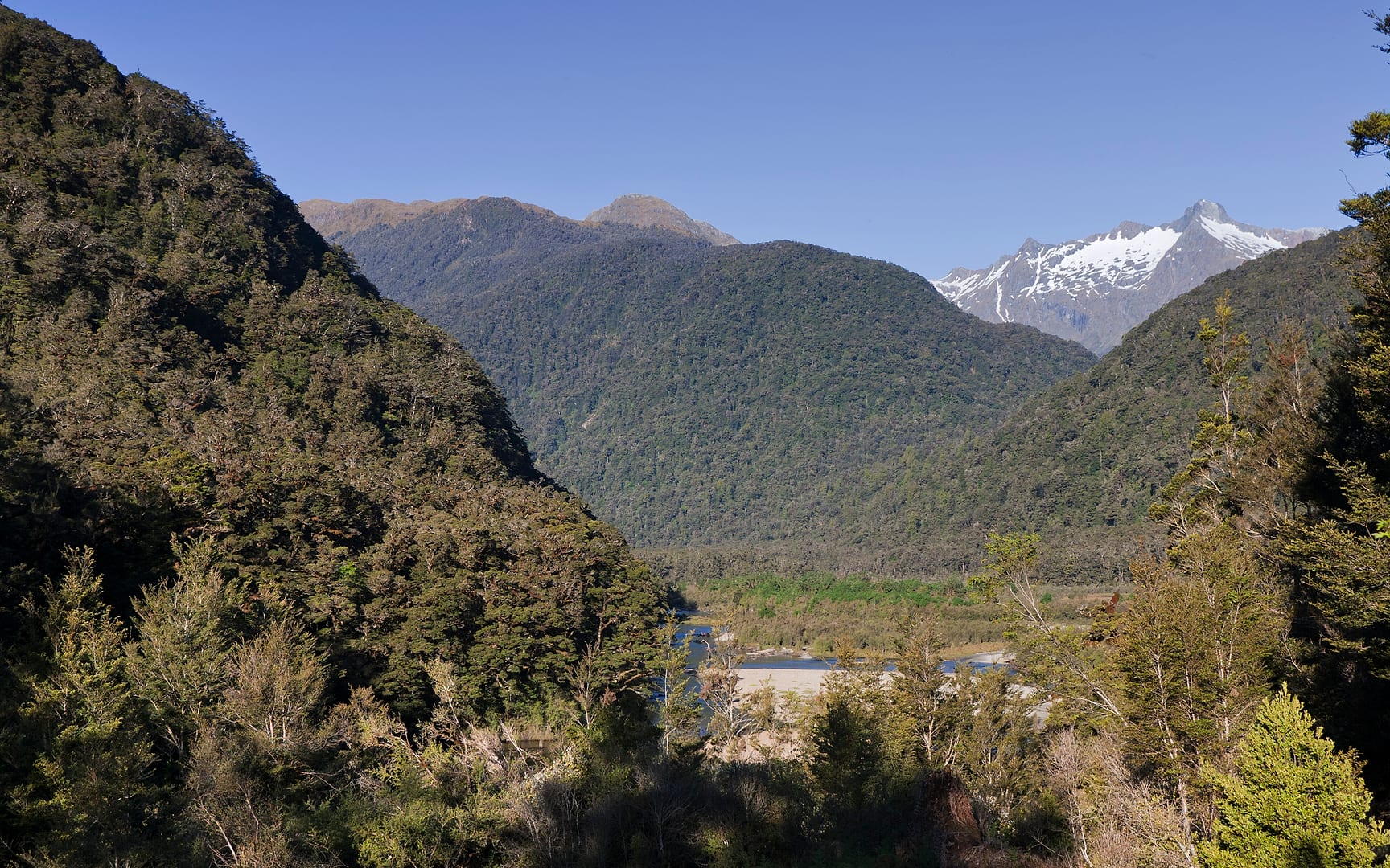 New Zealand — Dusky Track — landscape