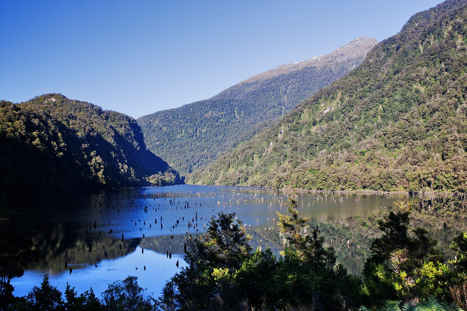 New Zealand — Dusky Track — landscape