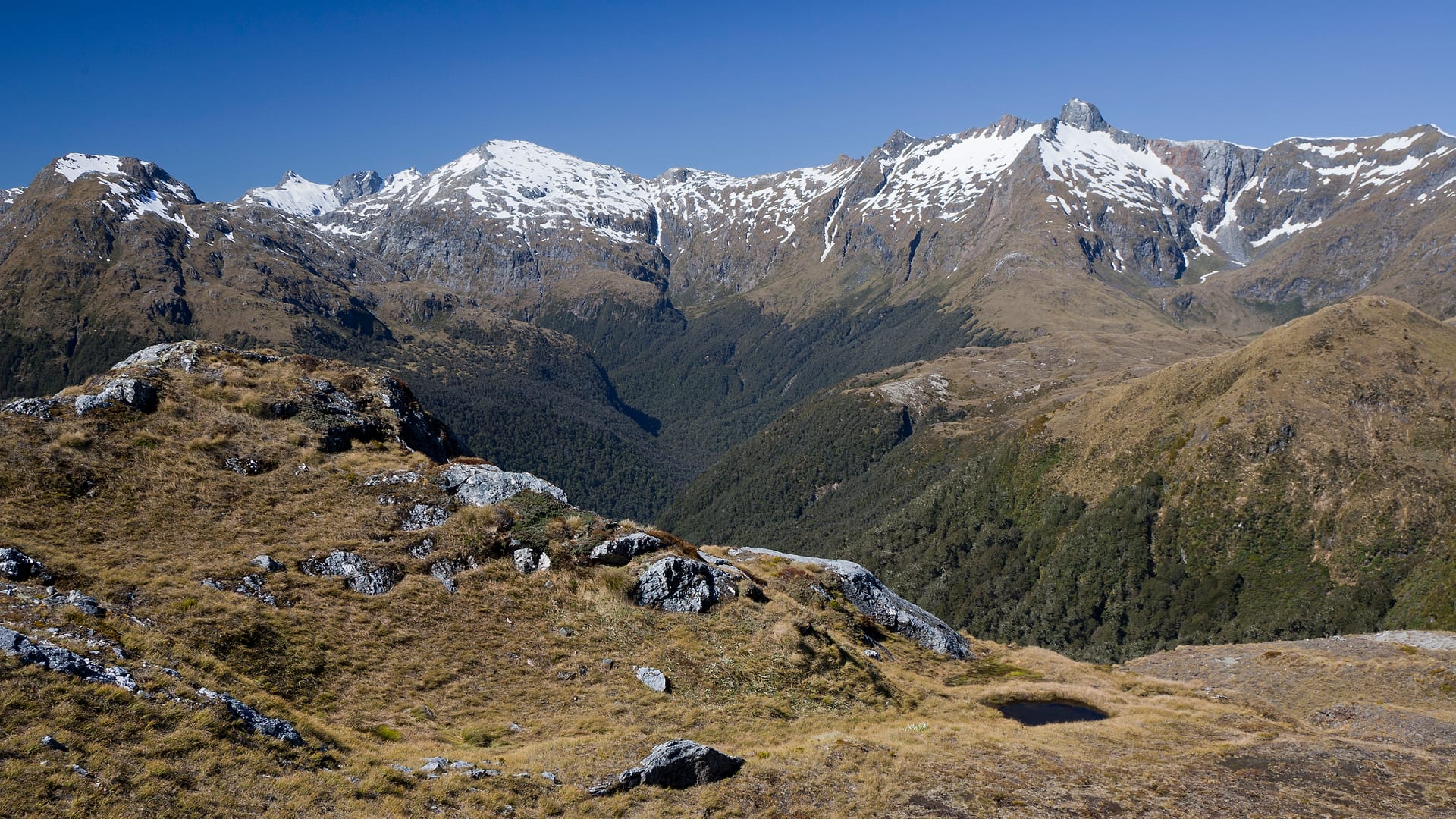 New Zealand — Dusky Track — landscape