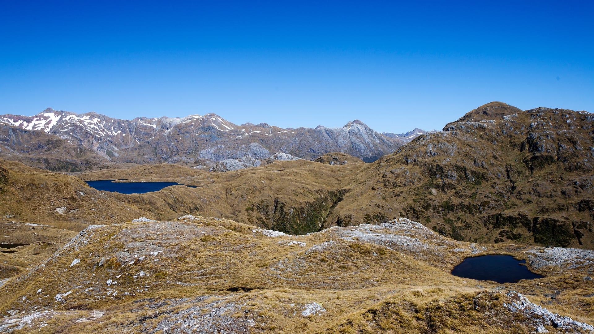New Zealand — Dusky Track — landscape