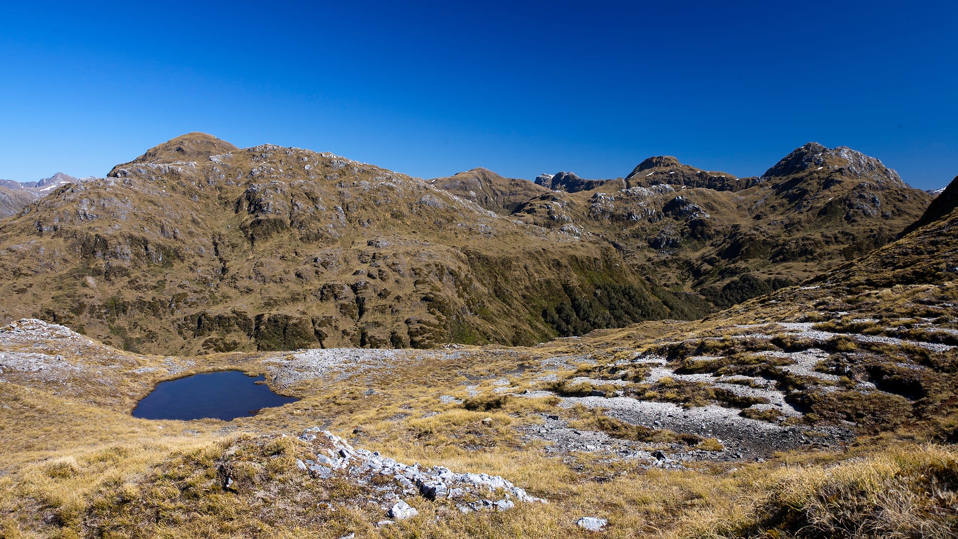New Zealand — Fiordland — landscape