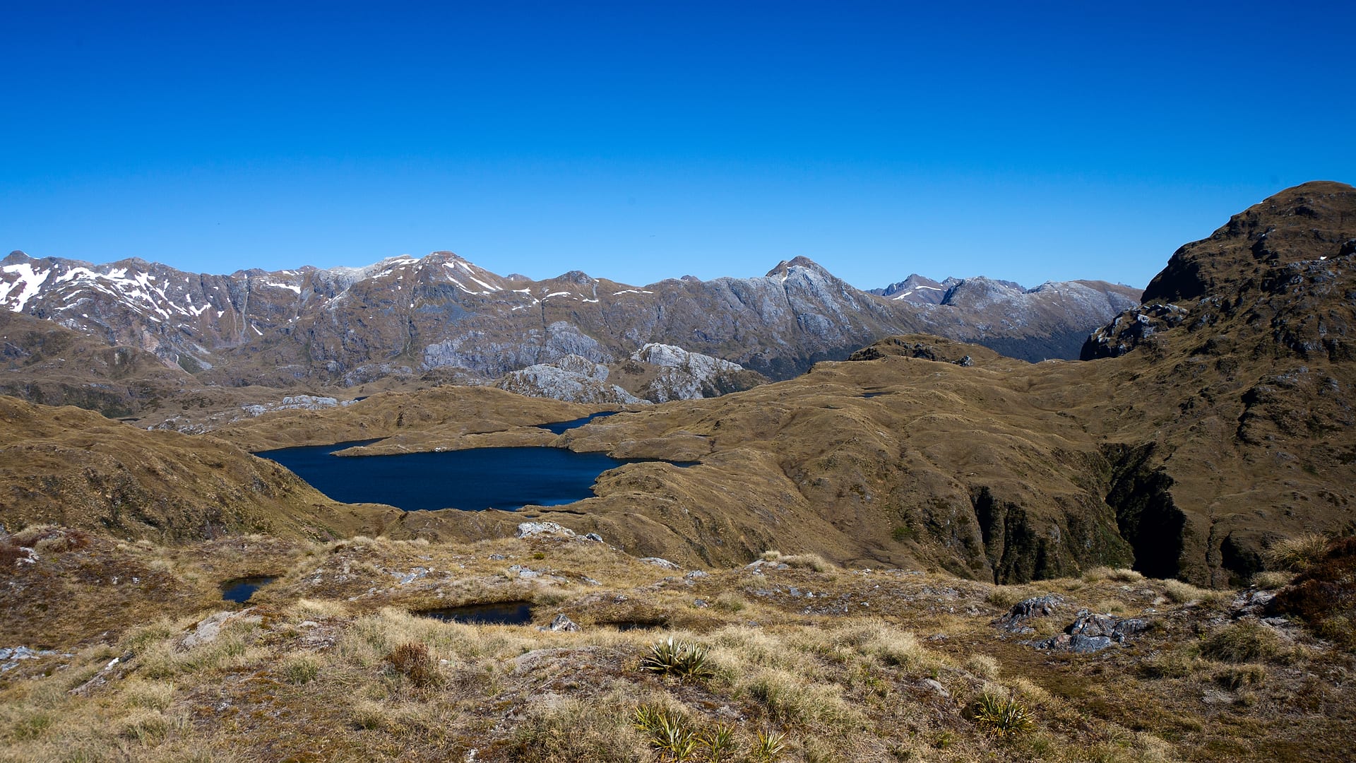 New Zealand — Dusky Track — landscape