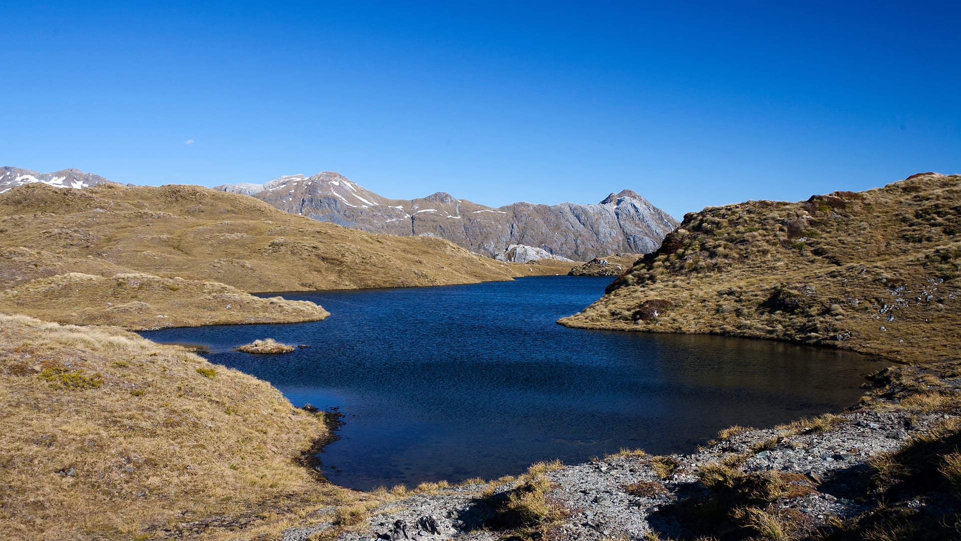 New Zealand — Dusky Track — landscape
