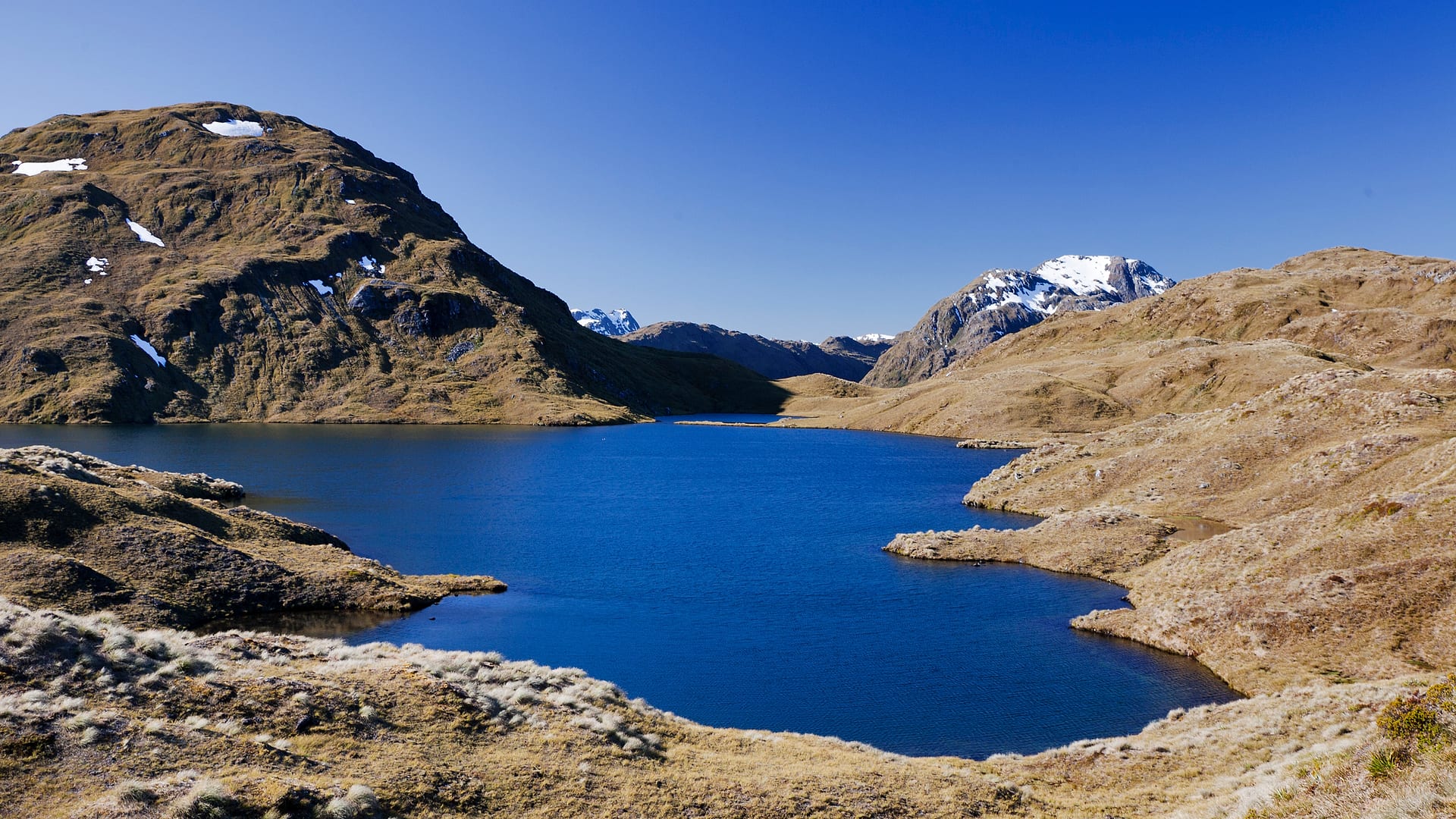 New Zealand — Dusky Track — landscape