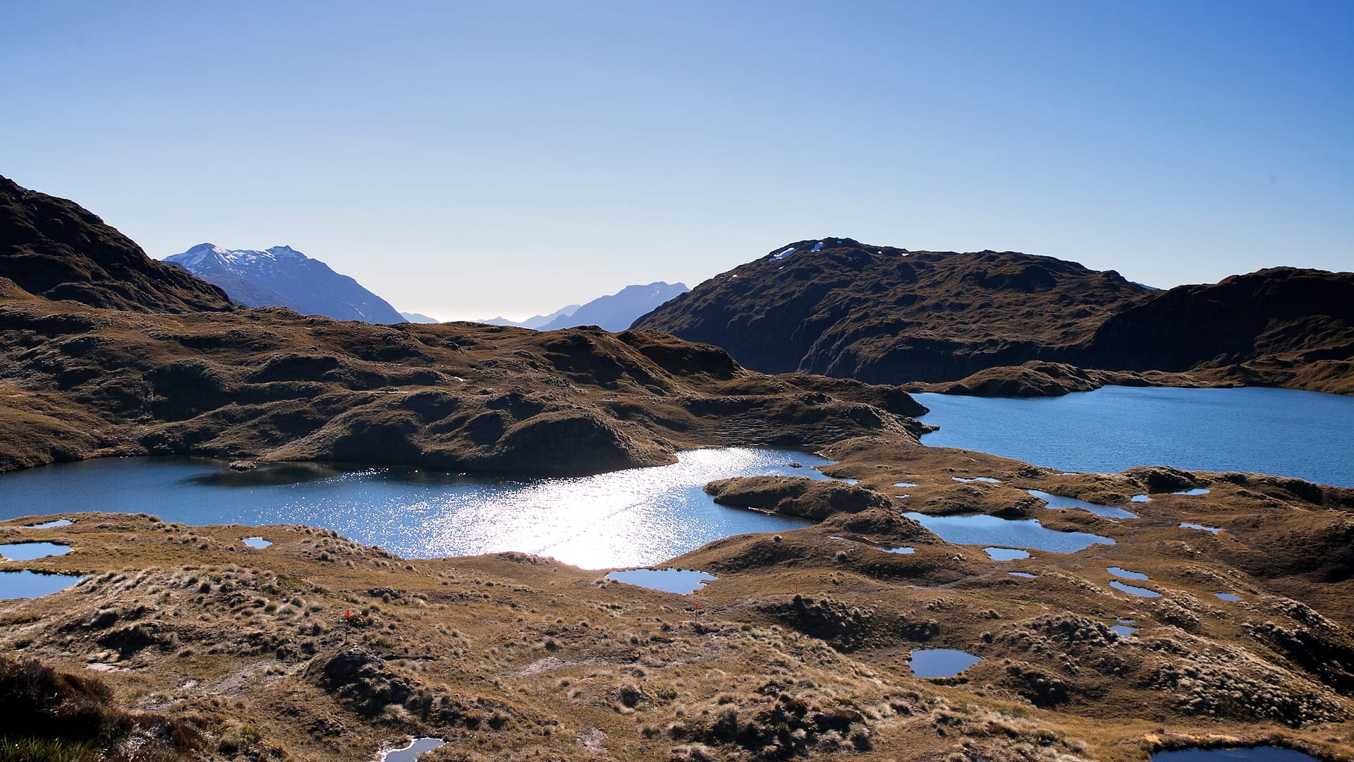 New Zealand — Dusky Track — landscape