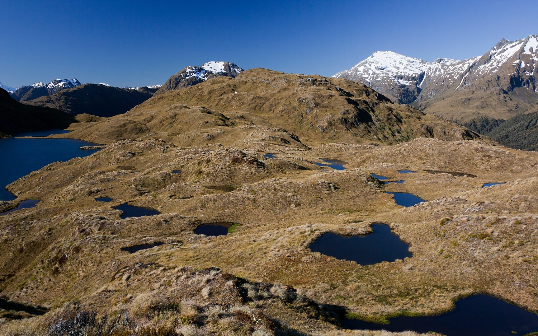 New Zealand — Dusky Track — landscape