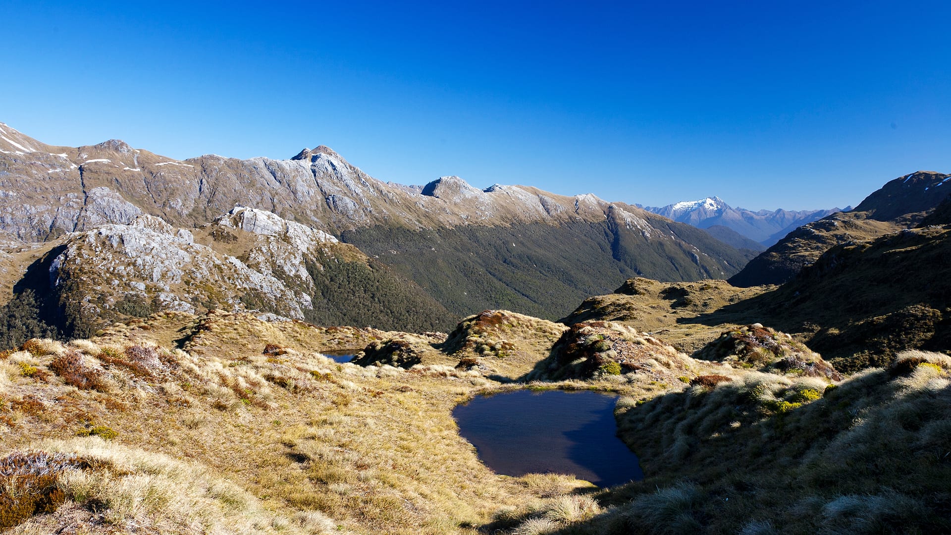 New Zealand — Dusky Track — landscape