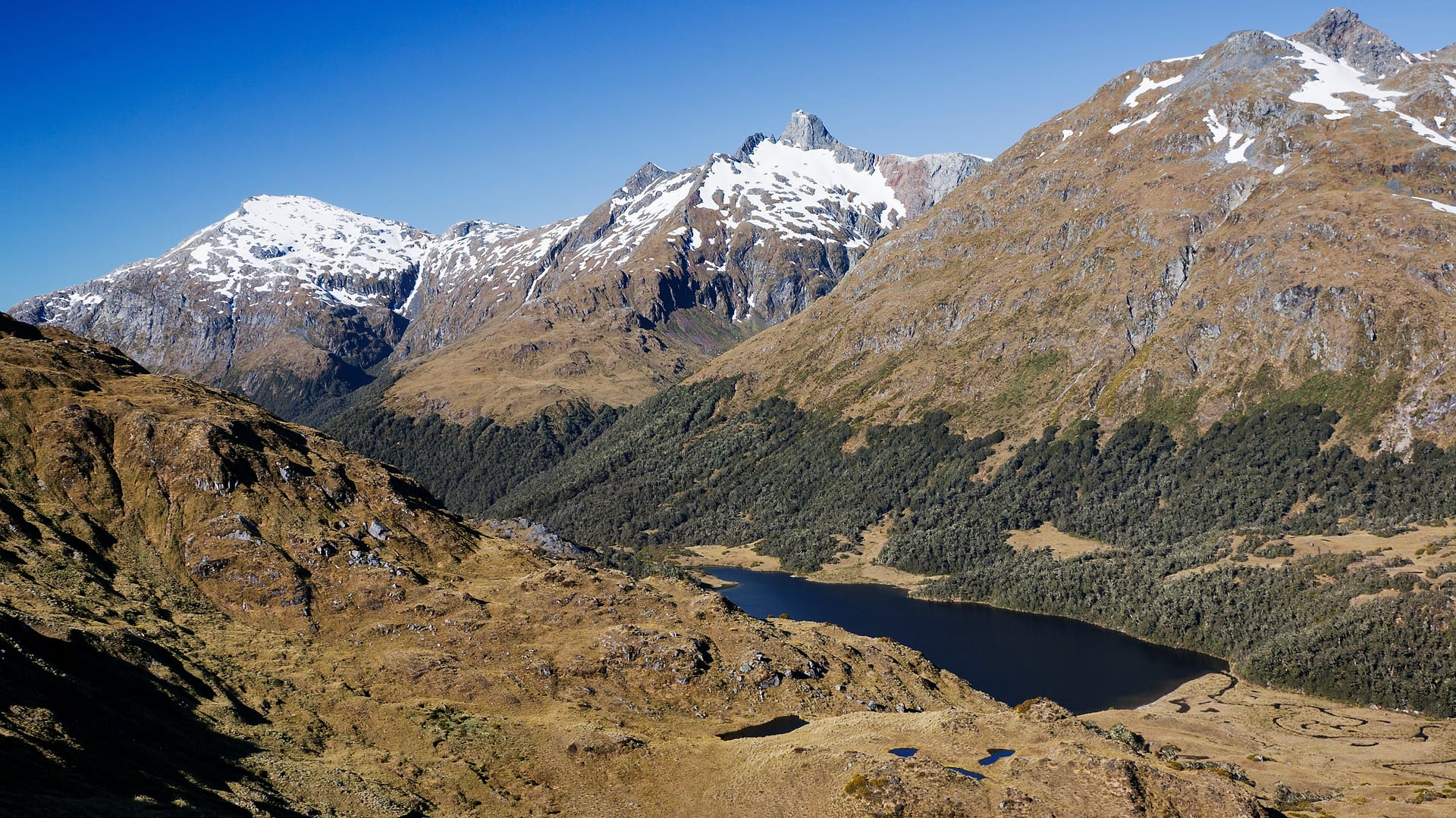 New Zealand — Dusky Track — landscape