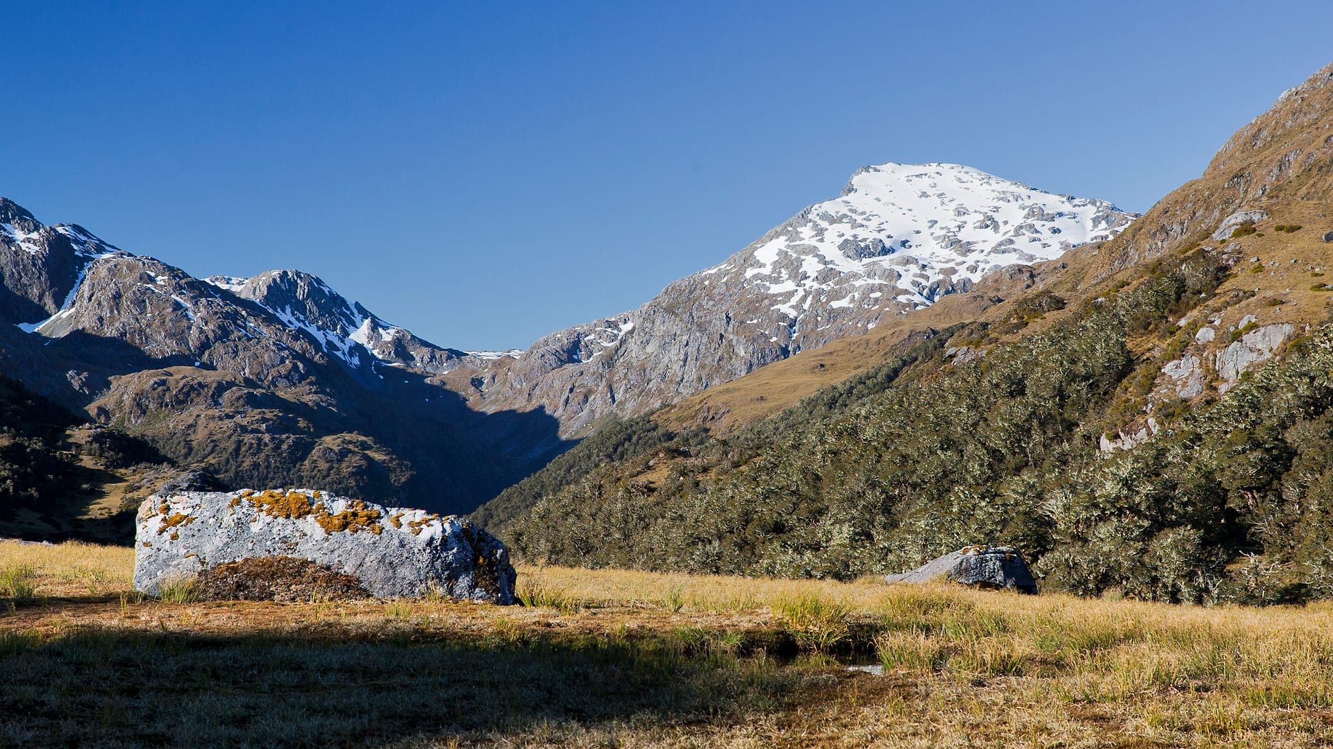 New Zealand — Dusky Track — landscape