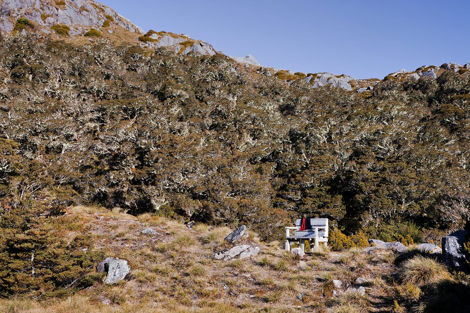 New Zealand — Dusky Track — landscape