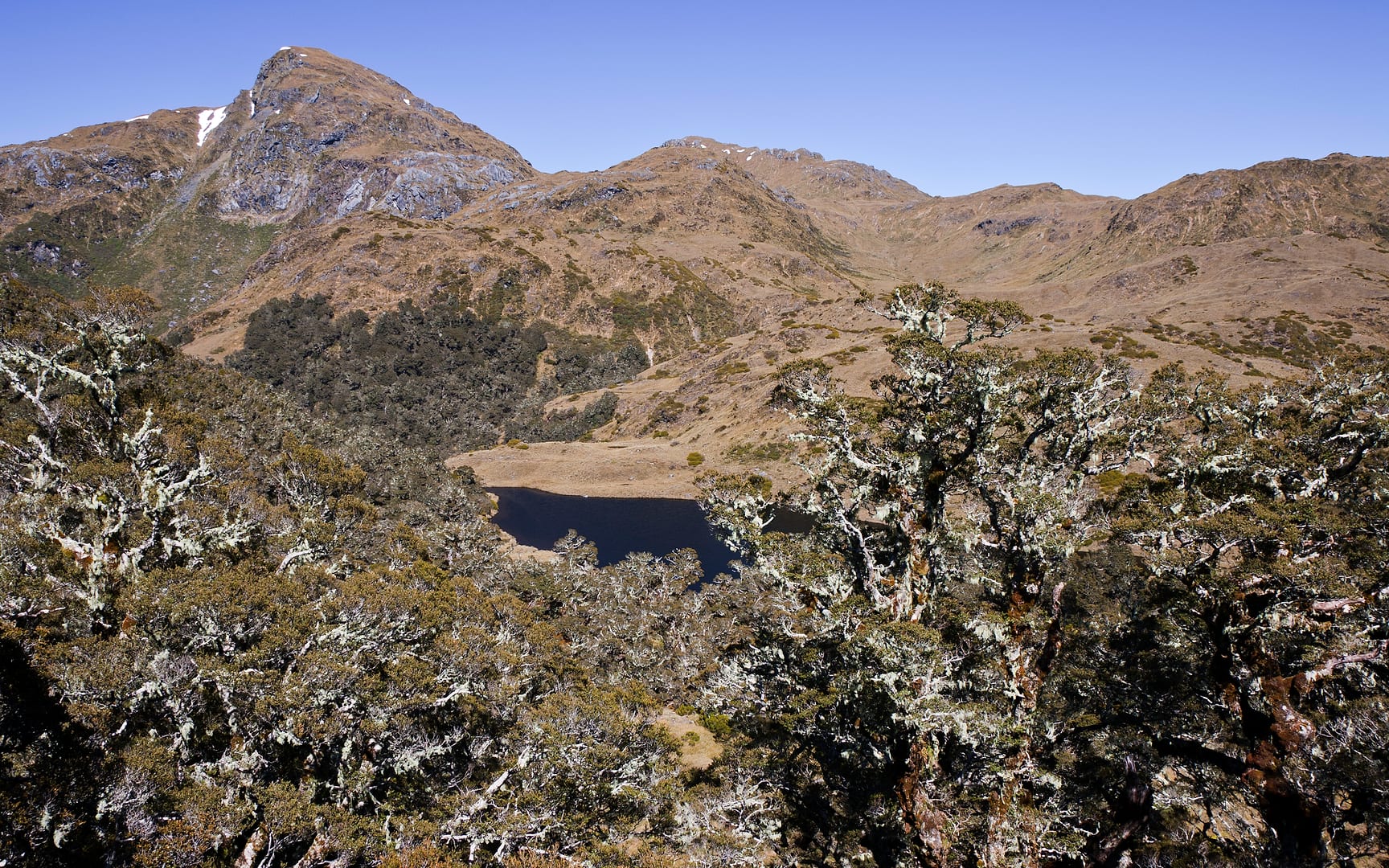 New Zealand — Dusky Track — landscape