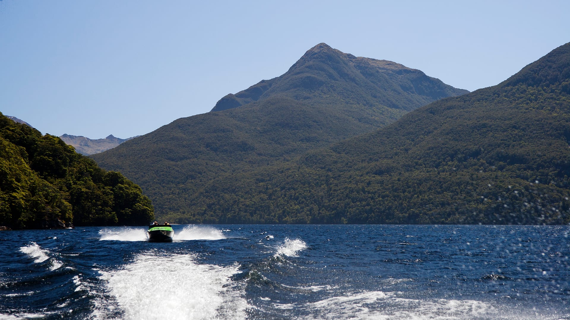 New Zealand — Fiordland — landscape