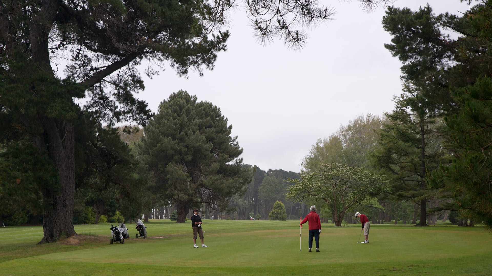 New Zealand — Invercargill — landscape