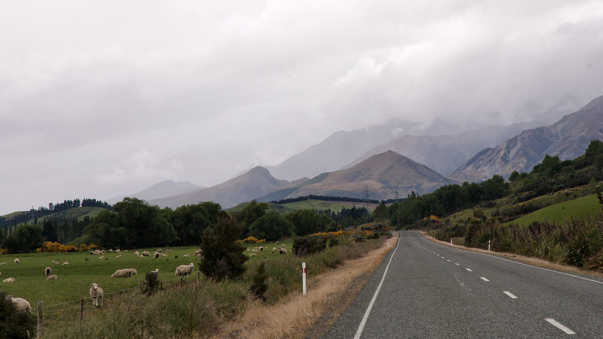 New Zealand — Invercargill — landscape