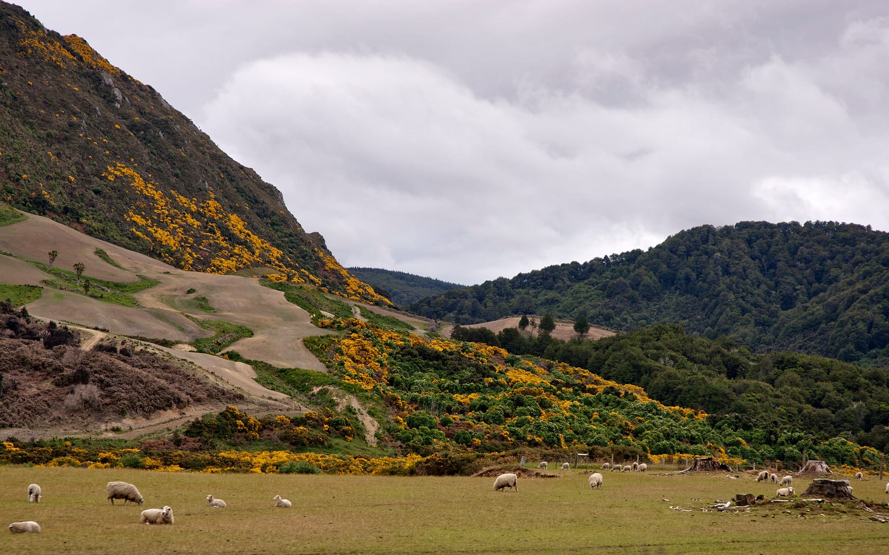 New Zealand — Invercargill — landscape
