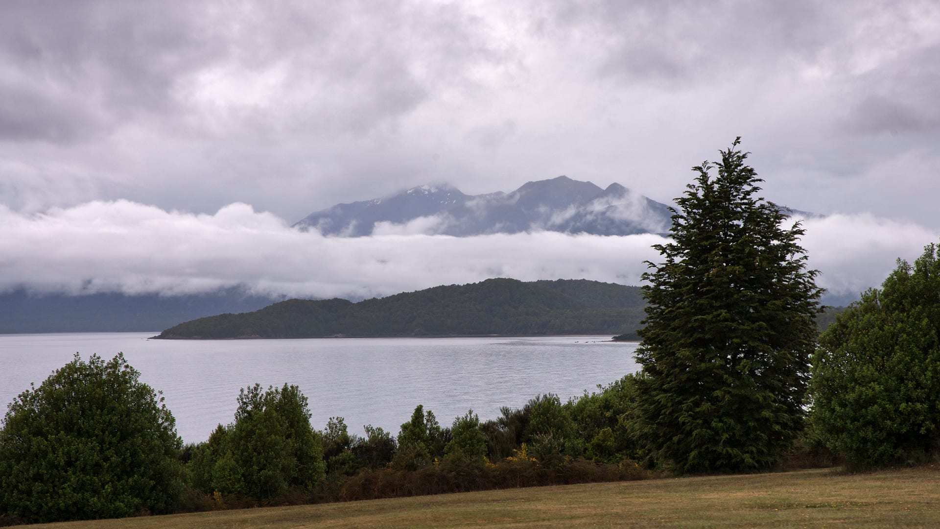 New Zealand — Invercargill — landscape