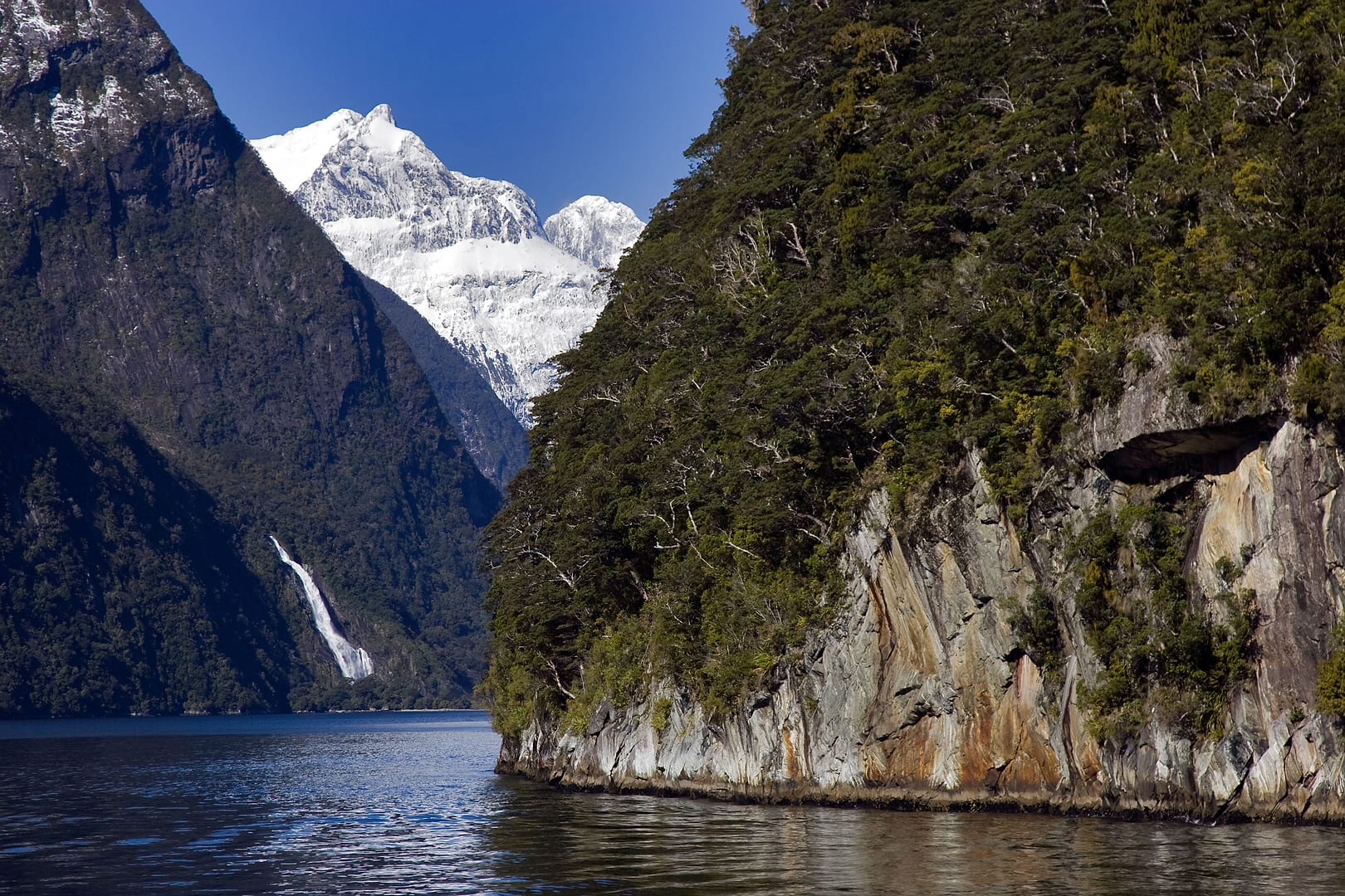 New Zealand — Milford Sound — landscape