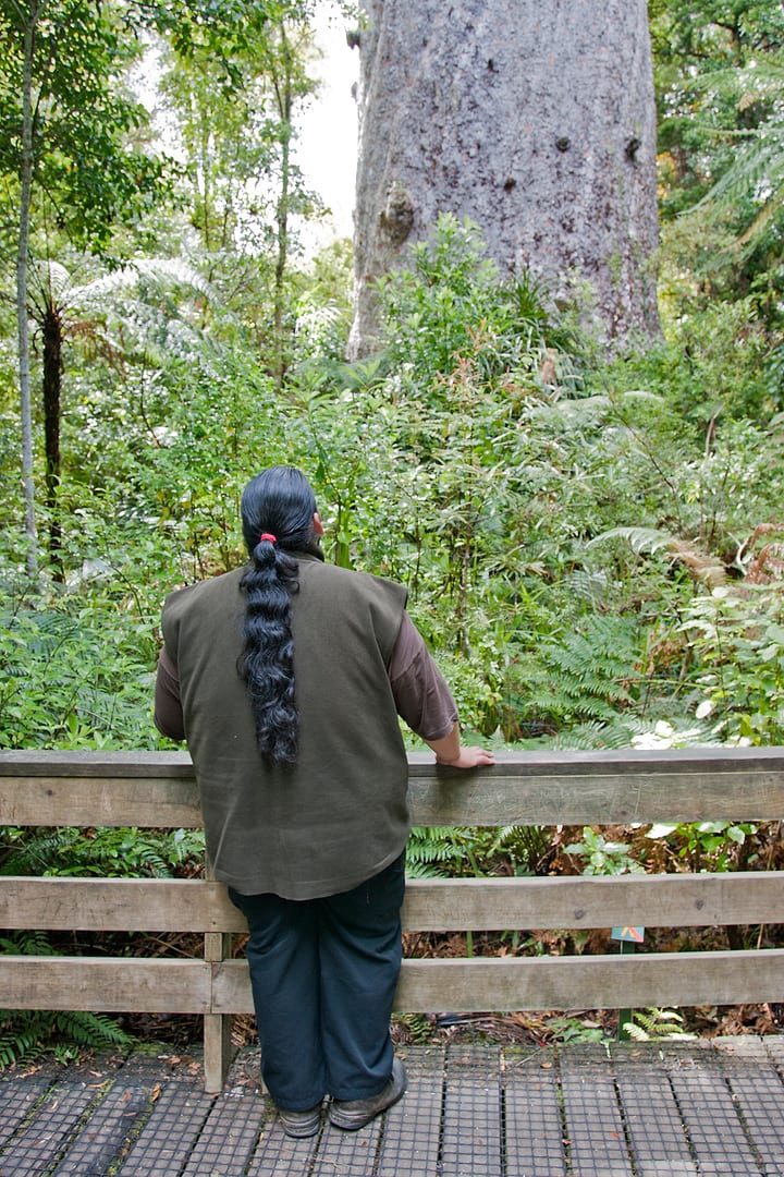 New Zealand — Northland — landscape