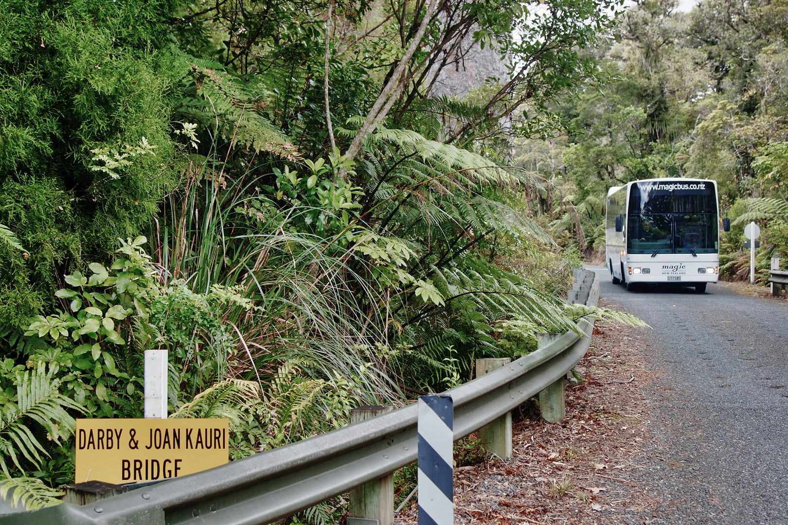 New Zealand — Northland — landscape